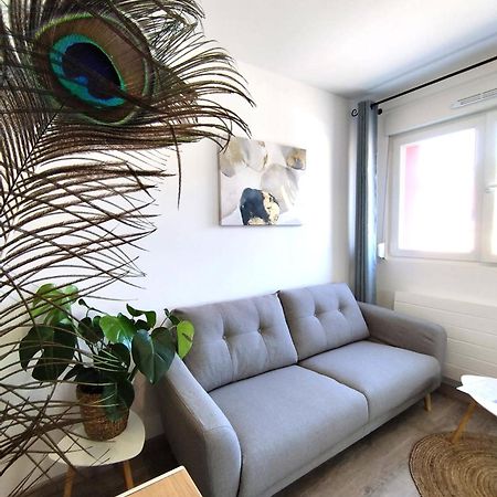 Home Suite Metz & Place De Parking Privee المظهر الخارجي الصورة