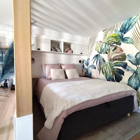 Home Suite Metz & Place De Parking Privee المظهر الخارجي الصورة