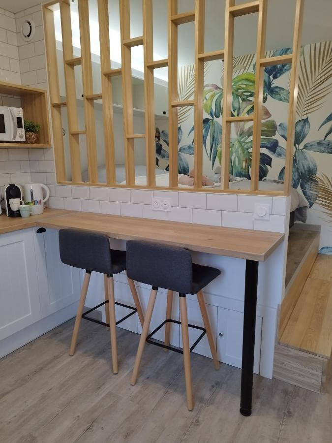 Home Suite Metz & Place De Parking Privee المظهر الخارجي الصورة