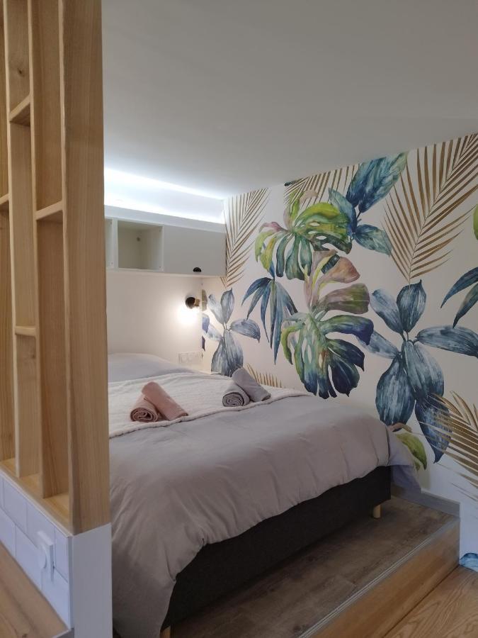 Home Suite Metz & Place De Parking Privee المظهر الخارجي الصورة
